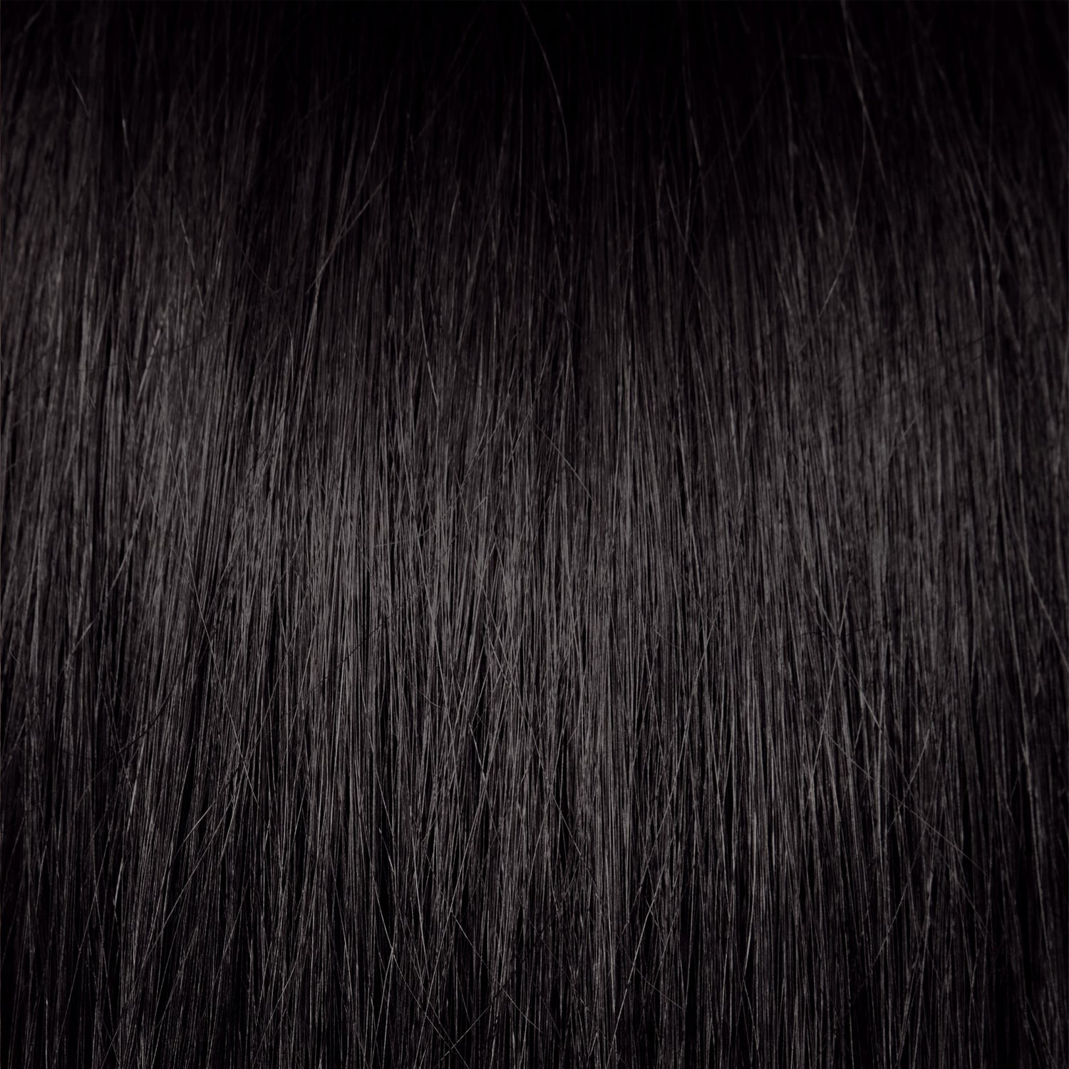 Coloration végétale - Noir Ébène