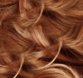 Coloration végétale - Châtain miellé