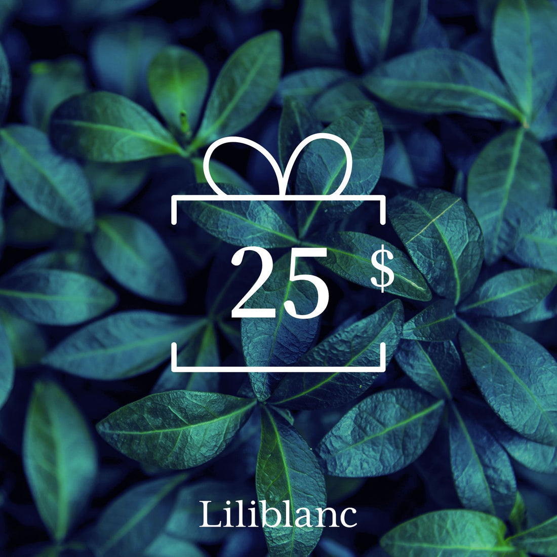 Carte-cadeau Liliblanc 25$