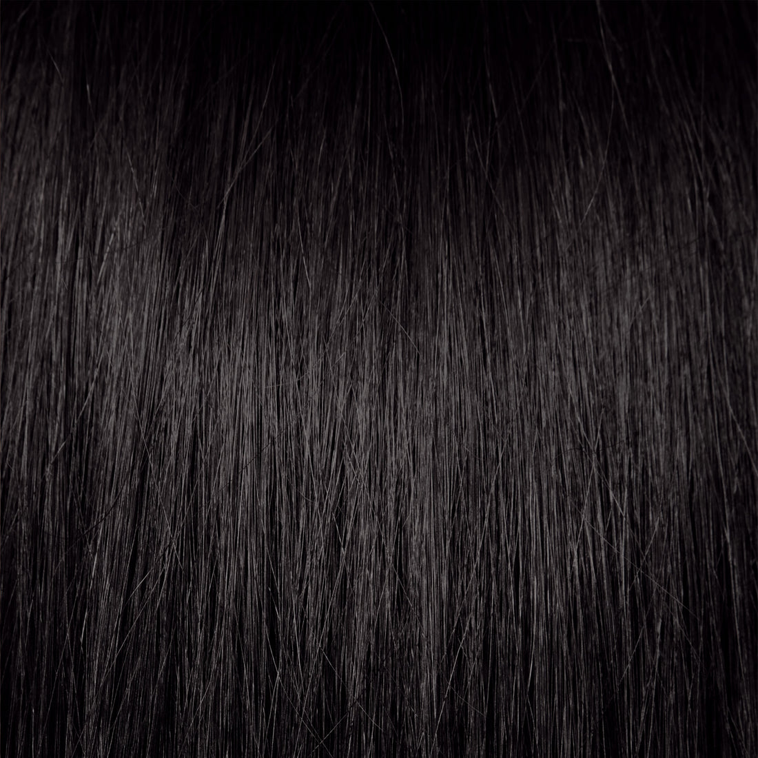 Coloration végétale - Noir Ébène